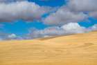 Washington State-Eastern Washington-Palouse Art Print